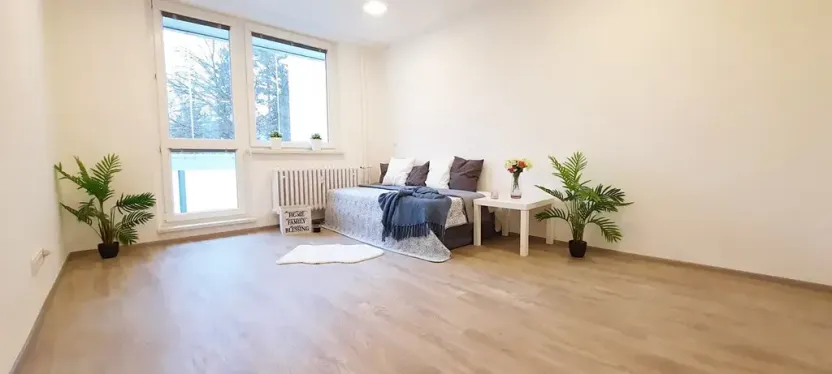 Pronájem bytu 1+1, Brno, Fričova, 46 m2