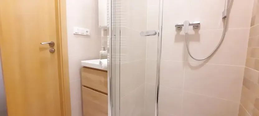 Pronájem bytu 1+1, Brno, Fričova, 46 m2