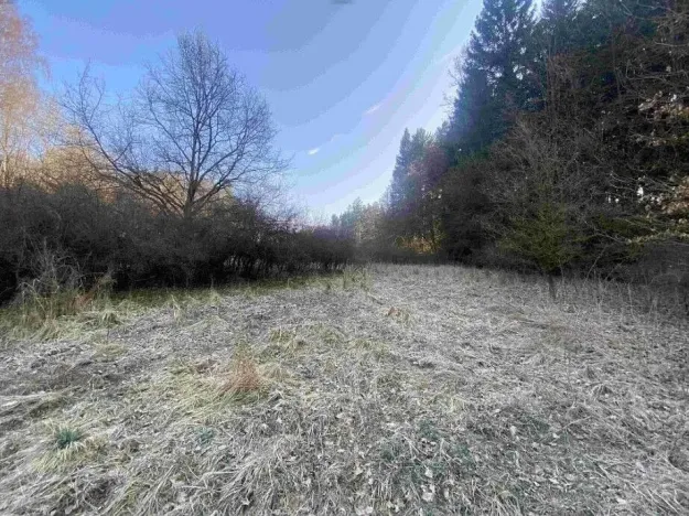 Prodej pozemku, Hluboká nad Vltavou - Kostelec, 3163 m2