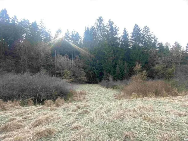 Prodej pozemku, Hluboká nad Vltavou - Kostelec, 3163 m2