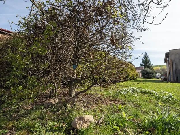 Prodej pozemku pro bydlení, Ořech, Polní, 1140 m2