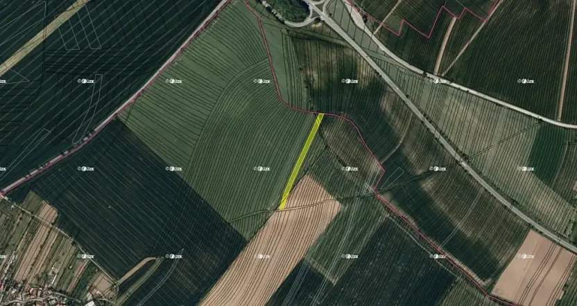 Prodej podílu pole, Boršice, 8735 m2