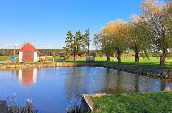 Prodej pozemku, Řípec, 6742 m2