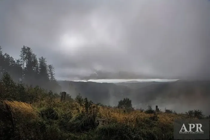 Prodej pozemku pro bydlení, Žítková, 6433 m2