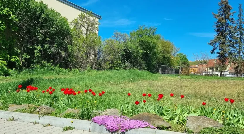 Prodej pozemku pro bydlení, Brno, Padělíky, 471 m2