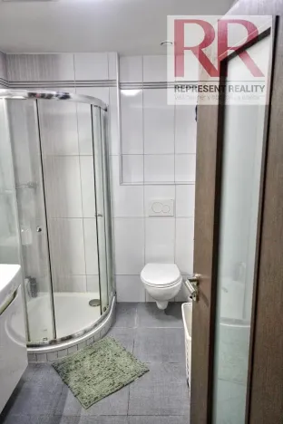 Pronájem bytu 1+kk, Plzeň, U Borských kasáren, 40 m2