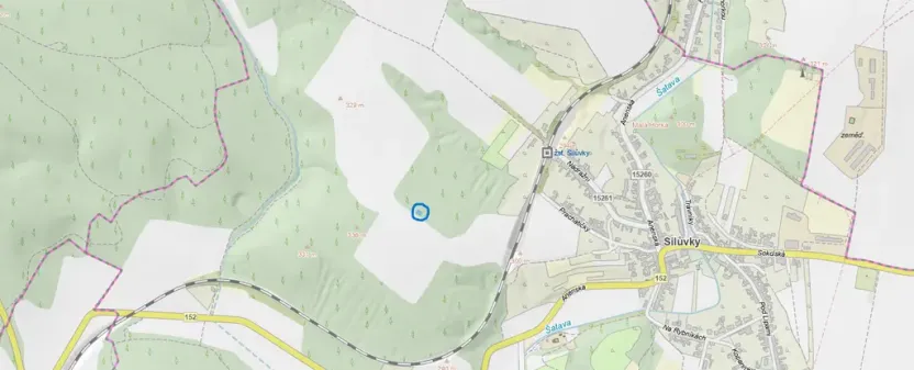 Prodej lesa, Silůvky, 174 m2