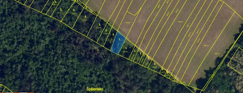 Prodej lesa, Silůvky, 375 m2