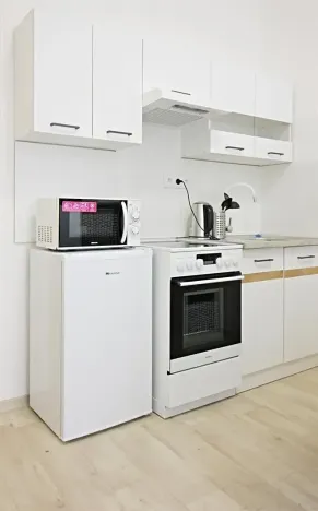 Pronájem bytu 1+kk, Brno, Koliště, 26 m2