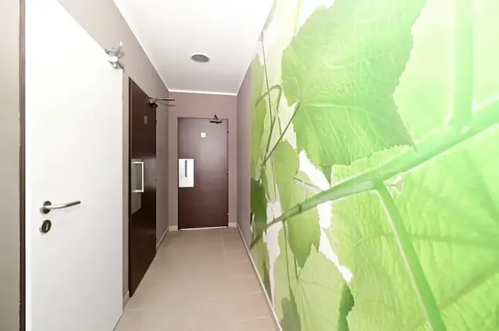 Pronájem ordinace, Hradec Králové, Pospíšilova, 49 m2