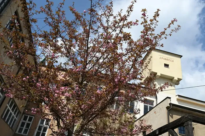 Pronájem ordinace, Hradec Králové, Pospíšilova, 55 m2