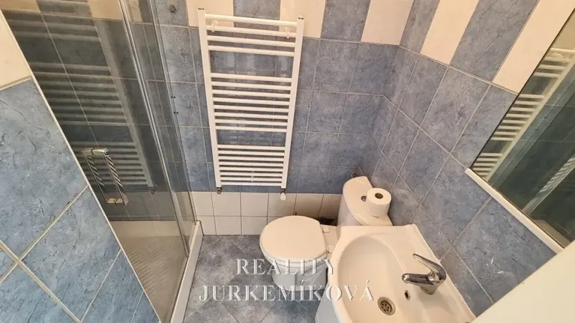 Pronájem bytu 1+kk, České Budějovice, 25 m2