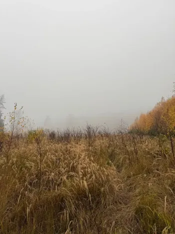 Prodej lesa, Úboč, 13538 m2