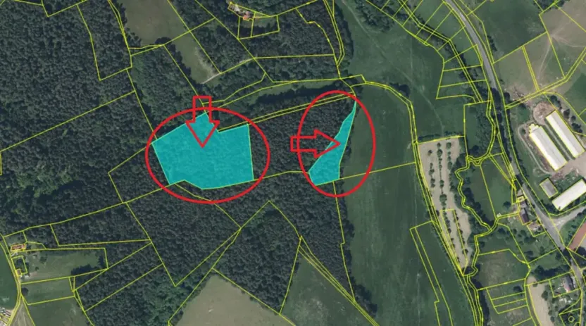 Prodej lesa, Český Dub, 17551 m2