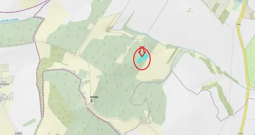 Prodej lesa, Chotiněves, 3854 m2