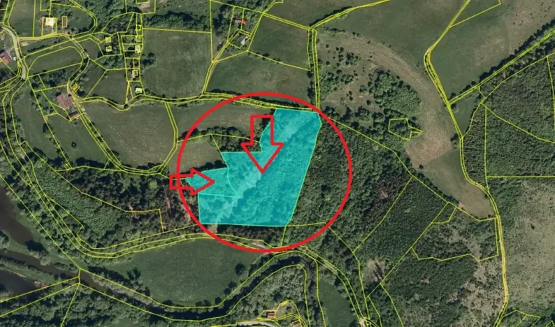 Prodej podílu lesa, Malá Bystřice, 5829 m2
