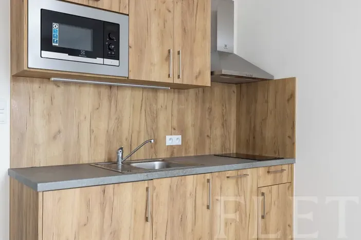 Pronájem bytu 1+kk, Praha - Vršovice, Petrohradská, 30 m2