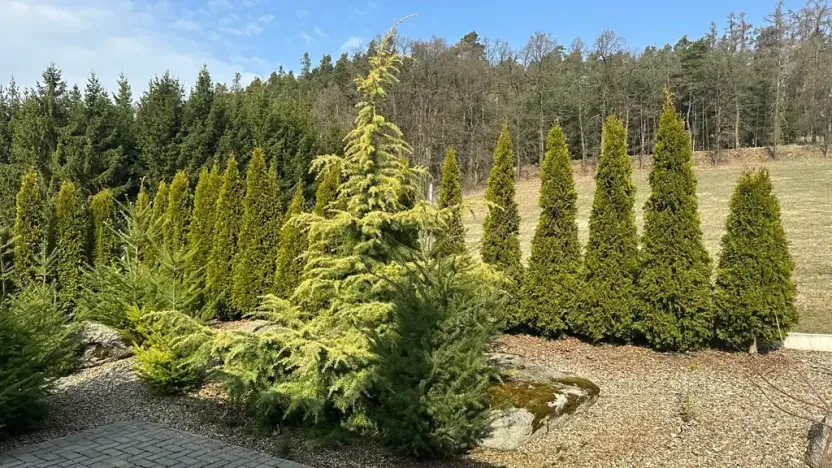 Prodej rodinného domu, Vojkov, 194 m2