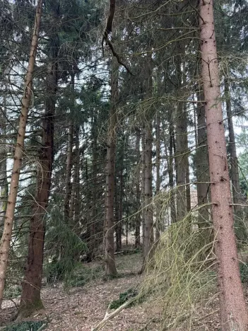 Prodej pole, Hlavňovice, 11738 m2