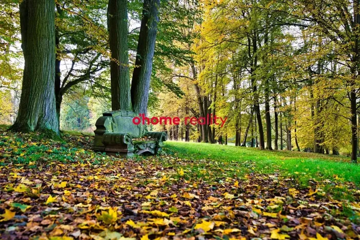 Prodej domu, Luka nad Jihlavou, Nádražní, 2812 m2