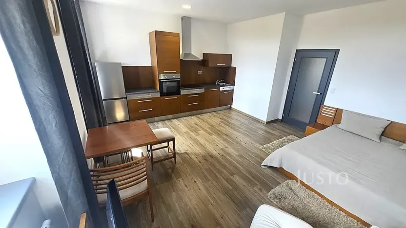 Pronájem bytu 1+kk, Písek, Vladislavova, 40 m2