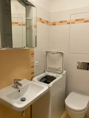 Pronájem bytu 1+kk, Praha - Vysočany, Freyova, 28 m2