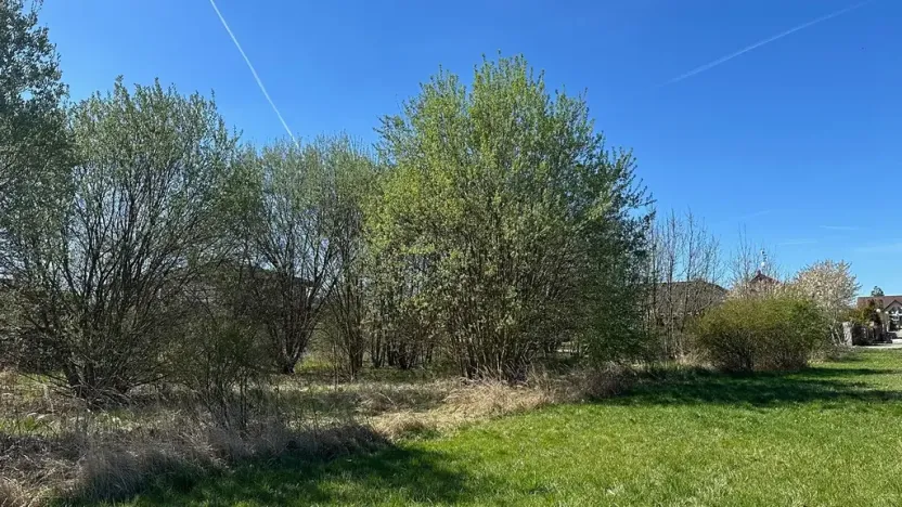 Prodej pozemku pro bydlení, Úhonice, Dušnická, 1669 m2