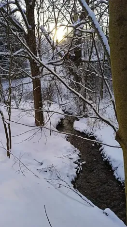 Prodej pozemku pro bydlení, Meziměstí, 2212 m2