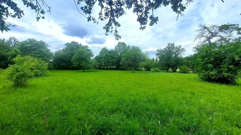 Prodej pozemku pro bydlení, Pecka, 1250 m2