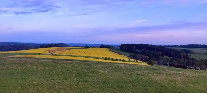 Prodej pozemku pro bydlení, Pecka, 1250 m2