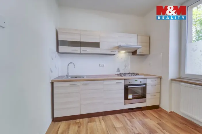 Pronájem bytu 1+1, Plzeň - Východní Předměstí, Francouzská třída, 38 m2