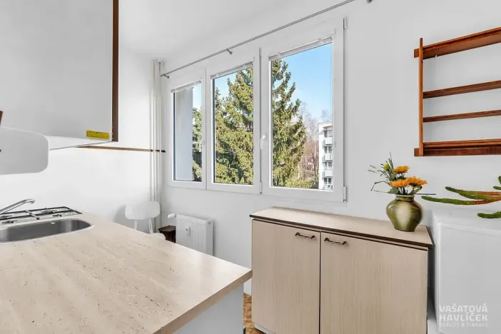 Pronájem bytu 2+1, Nové Město nad Metují, Malecí, 45 m2