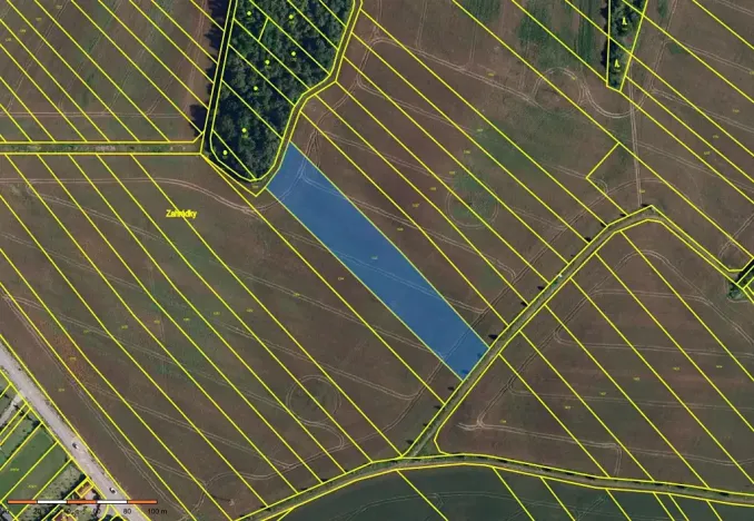 Prodej pole, Babice u Rosic, 15167 m2