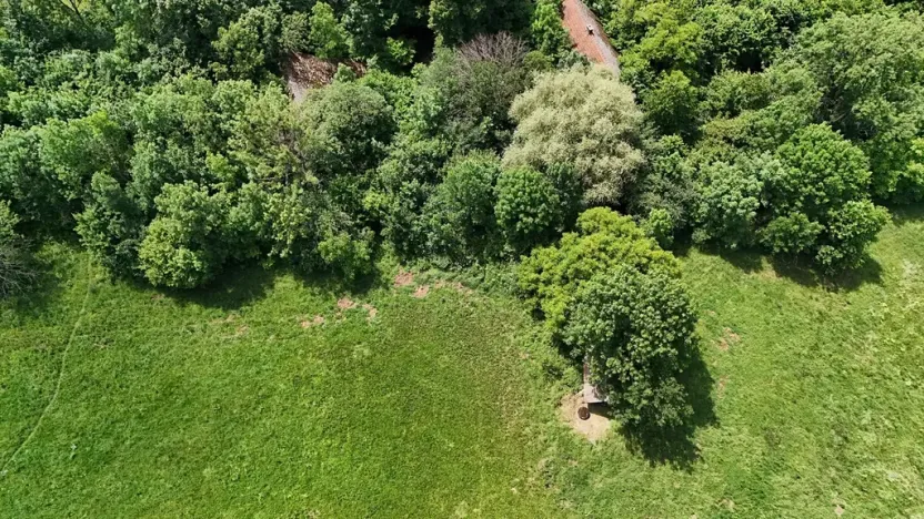 Prodej podílu zemědělské usedlosti, Bradlecká Lhota, 394 m2