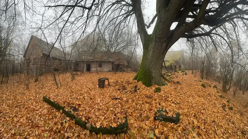 Prodej podílu louky, Bradlecká Lhota, 52392 m2