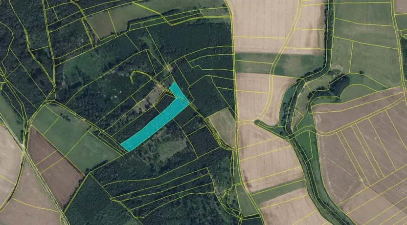 Prodej louky, Zdobín, 145881 m2