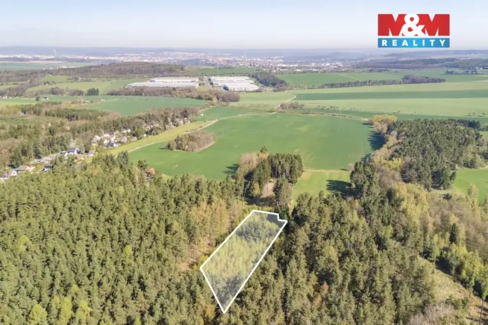 Prodej lesa, Losiná, 2645 m2