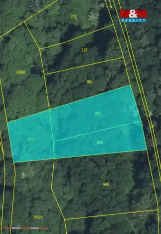 Prodej lesa, Snědovice - Střížovice, 2037 m2