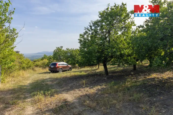 Prodej pole, Židlochovice, 4295 m2