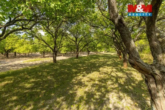 Prodej pole, Židlochovice, 4295 m2