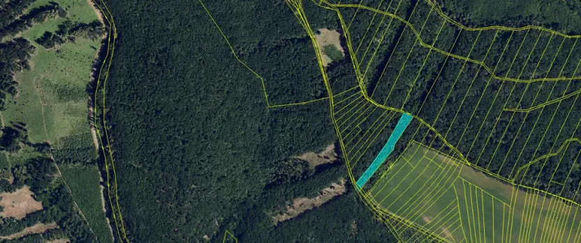 Prodej lesa, Silůvky, 3896 m2