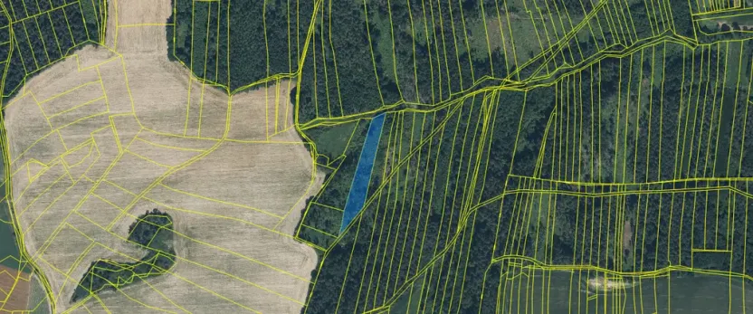 Prodej lesa, Blížejov - Lštění, 4481 m2