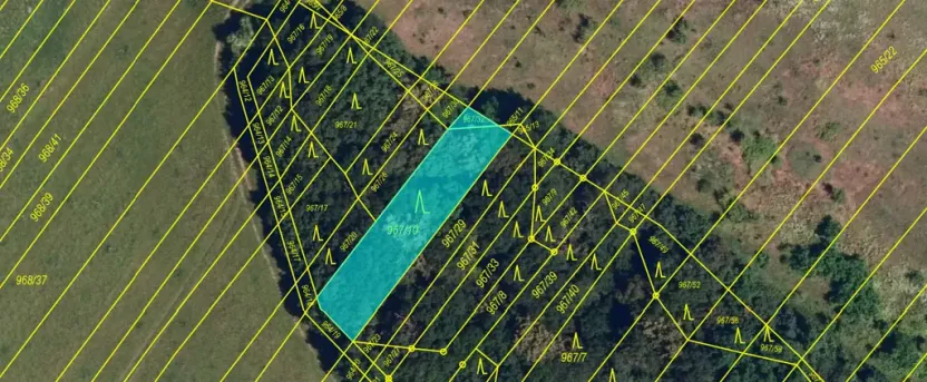 Prodej lesa, Silůvky, 462 m2