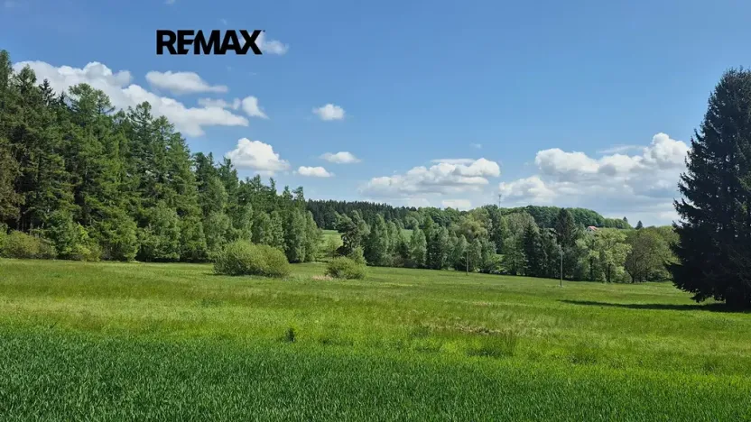 Prodej pozemku pro bydlení, Borová, 5776 m2