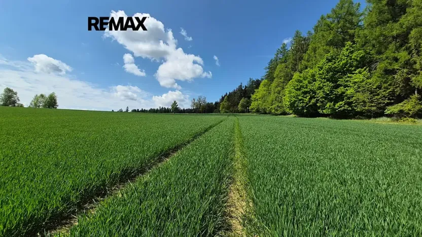 Prodej pozemku pro bydlení, Borová, 5776 m2