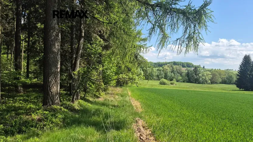 Prodej pozemku pro bydlení, Borová, 5776 m2