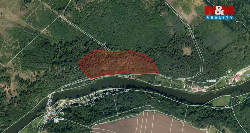 Prodej lesa, Řepeč, 39640 m2