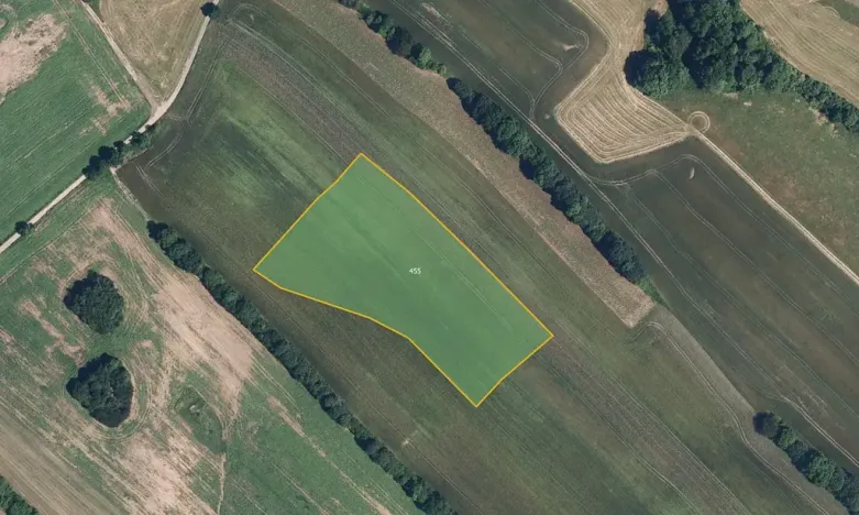 Prodej pole, Zborov, 12329 m2