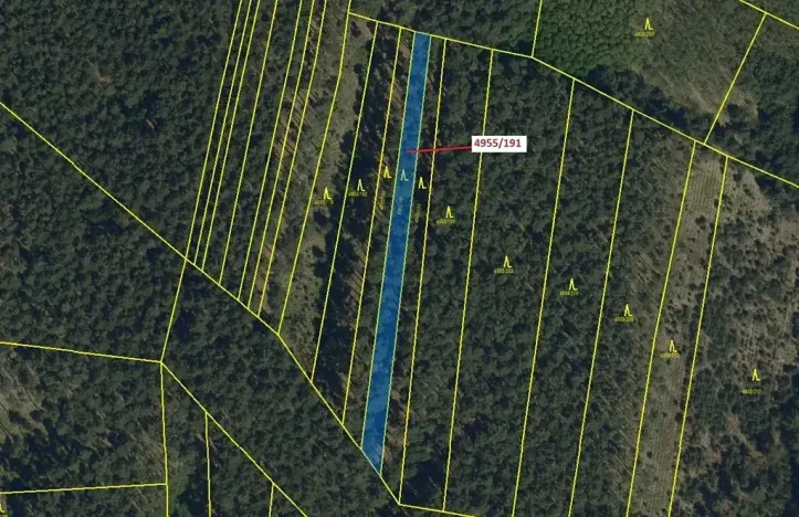 Dražba lesa, Vracov, 1174 m2