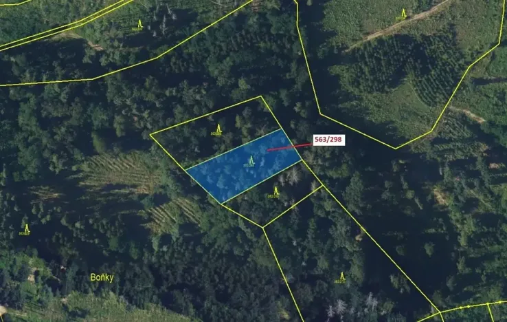 Dražba lesa, Spešov, 1372 m2